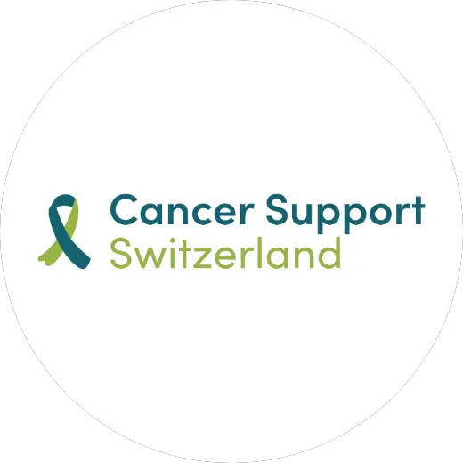 CSS-Logo